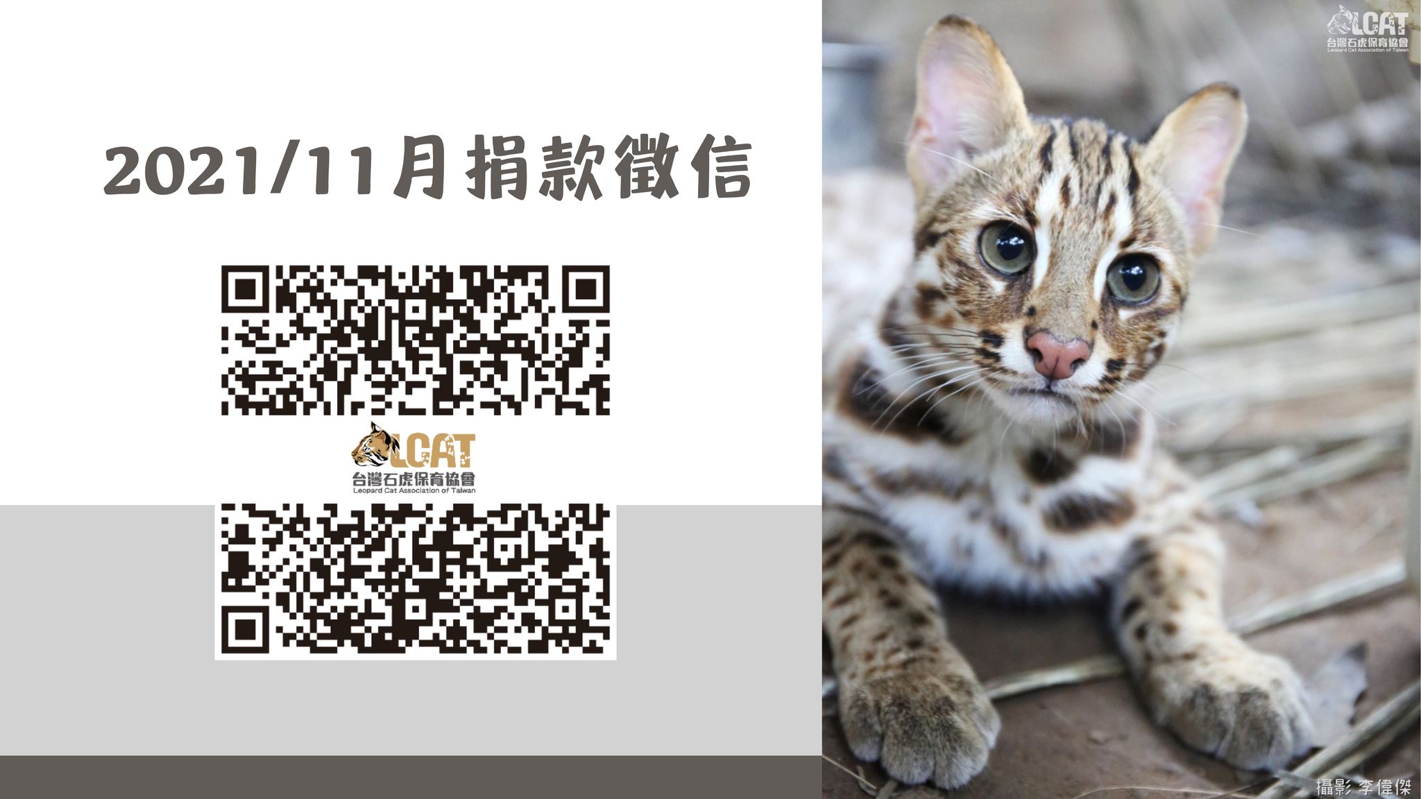 11月徵信 QR code