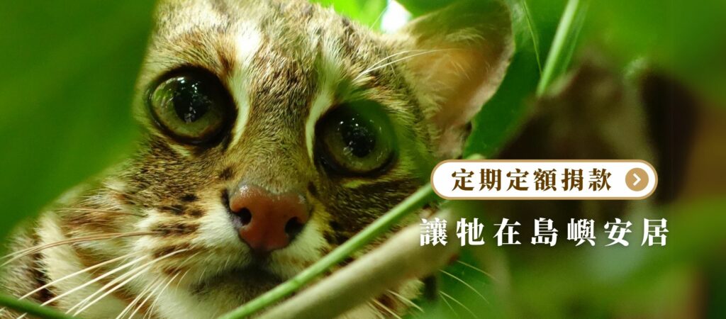 定期定額捐款