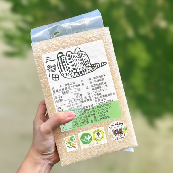 減塑組商品照