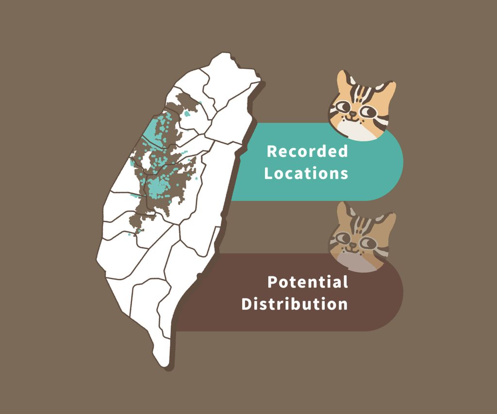 Where Do Leopard Cats Live